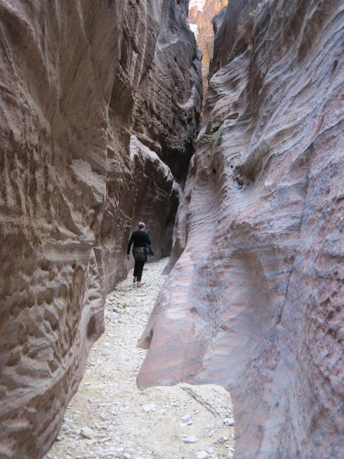 מלון וואדי מוסא The Rock Camp Petra מראה חיצוני תמונה